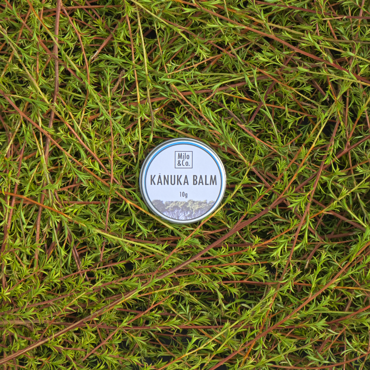 Kānuka Balm