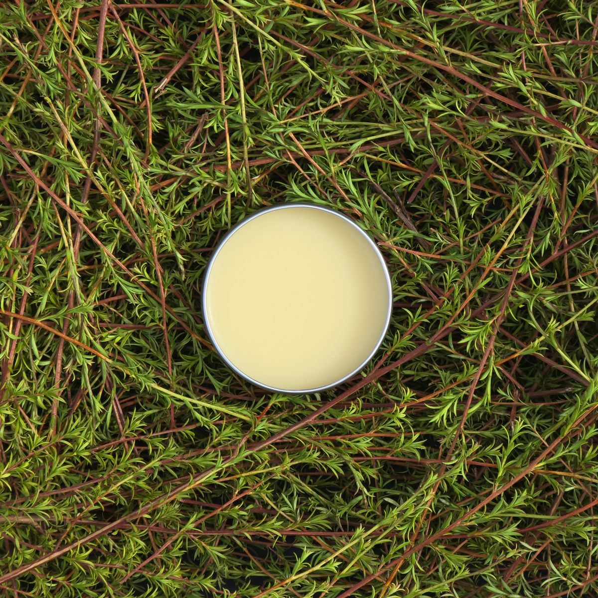 Kānuka Balm