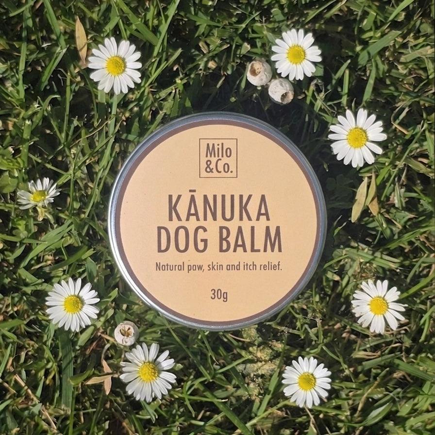 Kānuka Dog Balm