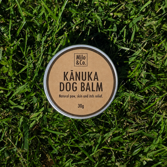 Kānuka Dog Balm